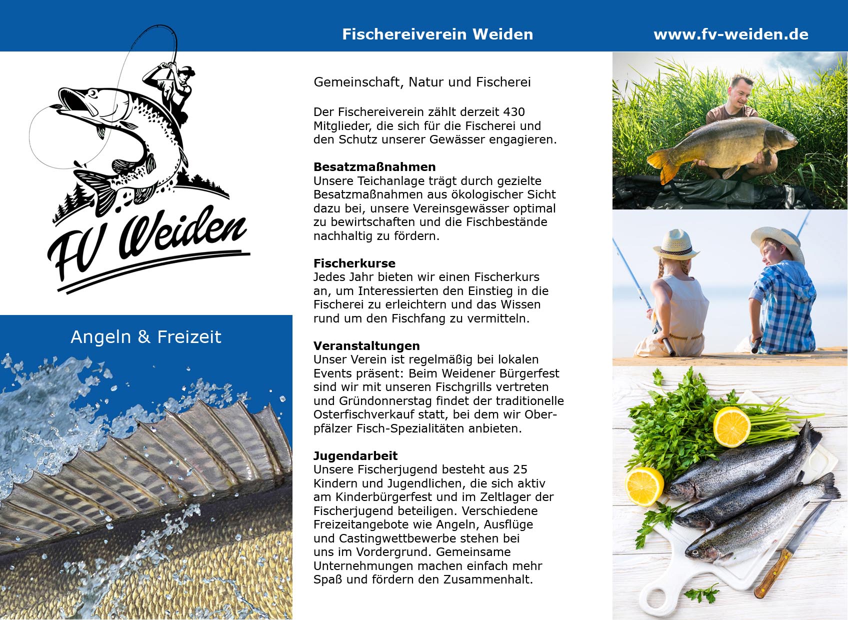 flyer falz 2025 vorderseite final hp01