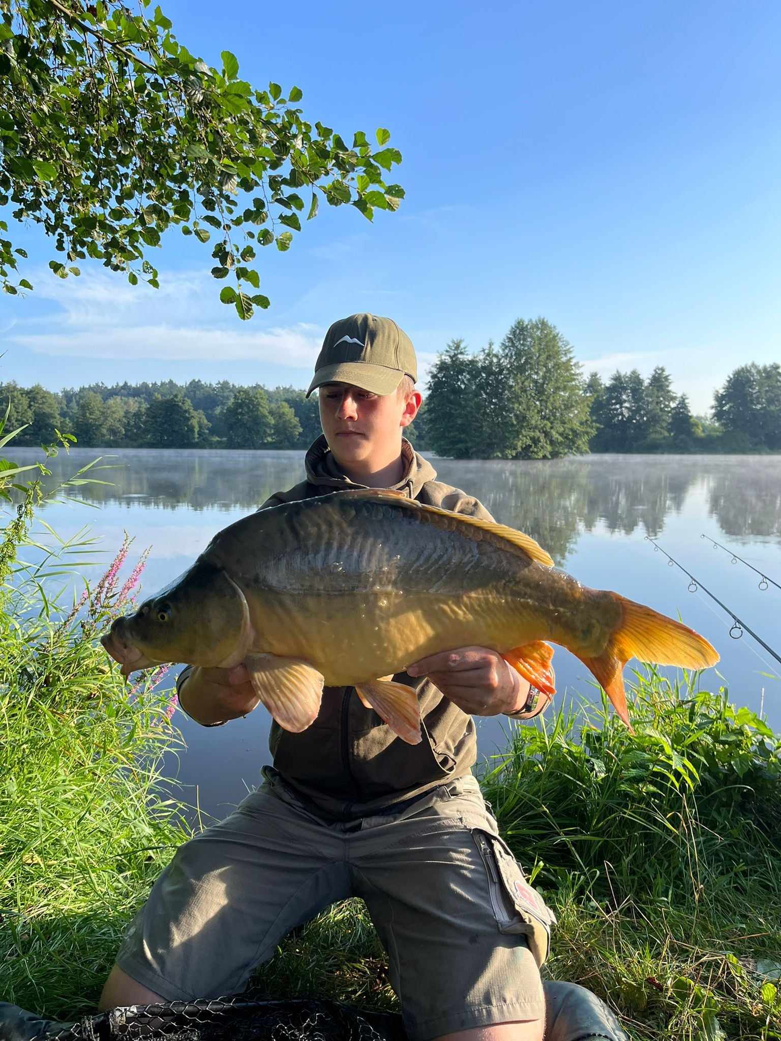 Fischerprüfung online