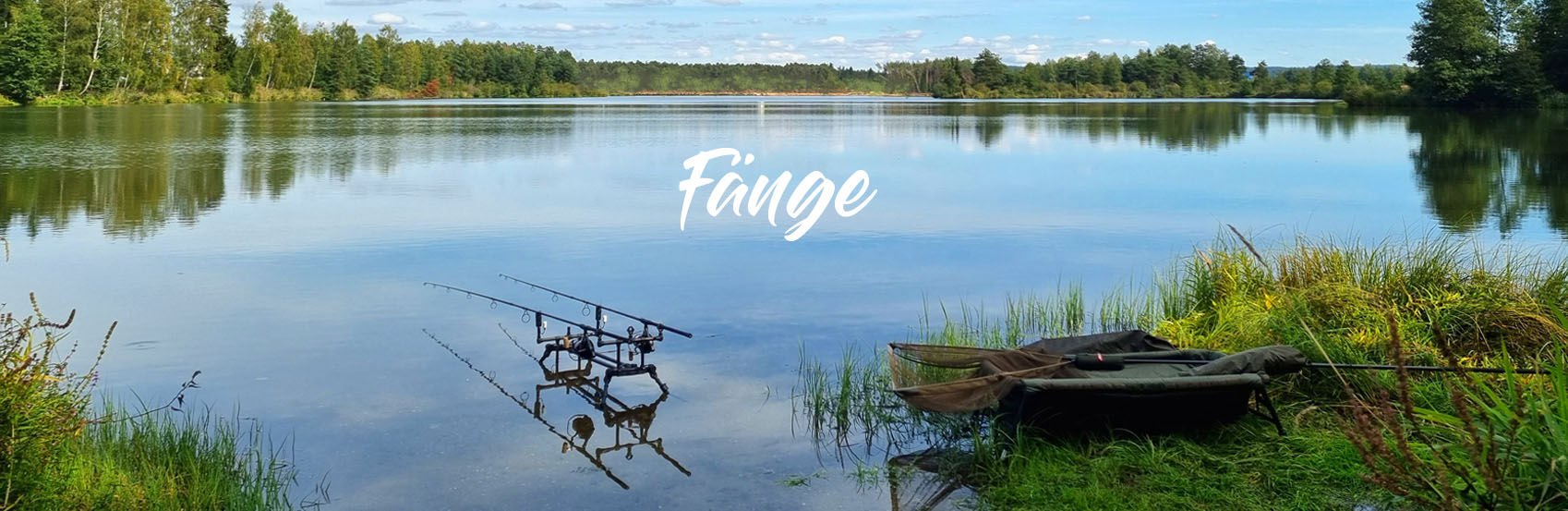 faenge breakdown gerade