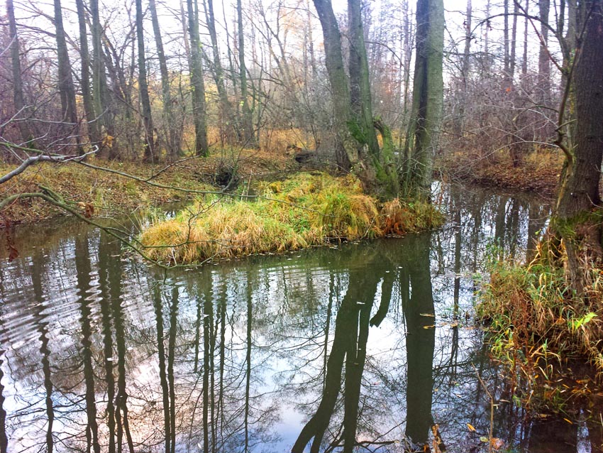 sauerbach homepage01