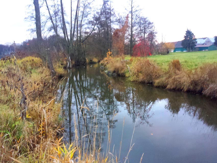 schweinenaab homepage 02