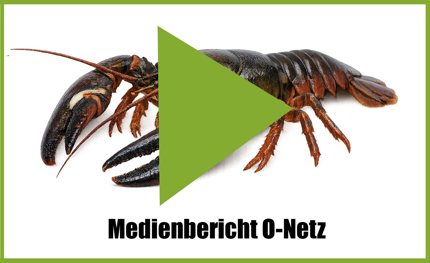 signal medien onetz